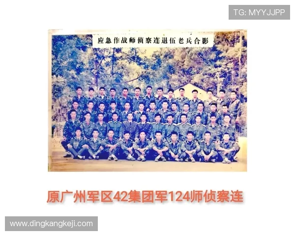 EDG的荣耀与挑战：一段不屈不挠的奋斗历程回顾