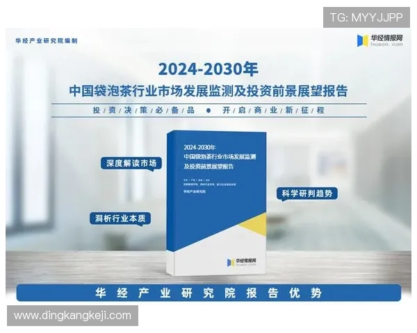 上海飞盘队状态分析与未来发展展望的深度探讨