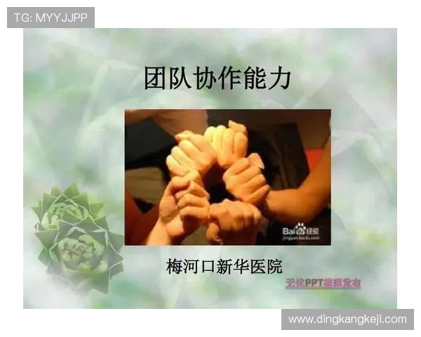 南京排球队意识表现分析：战术执行与团队协作的深度解读