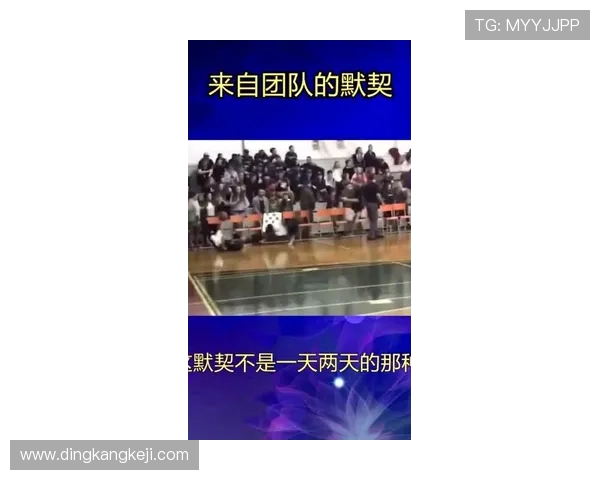 杭州攀岩队的默契配合与团队精神探讨