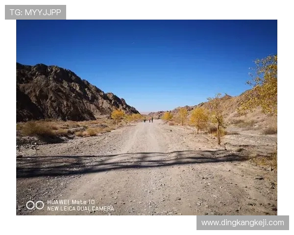 陈秀英的和平精英之路：从新手到职业选手的成长与挑战