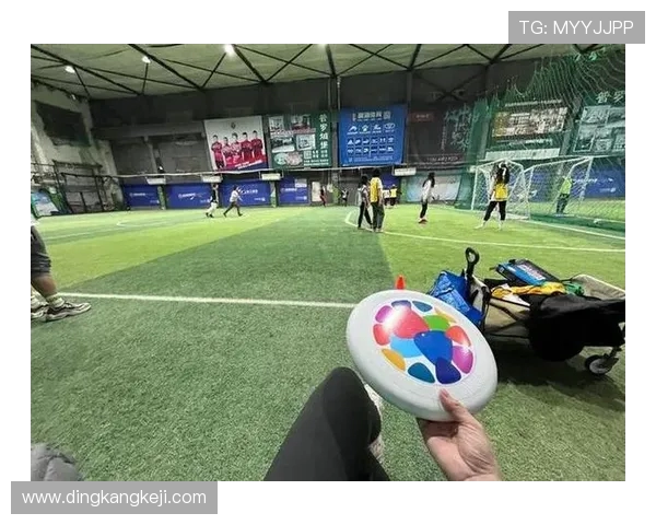 南京飞盘队实力飙升创历史新高引领全国飞盘运动热潮