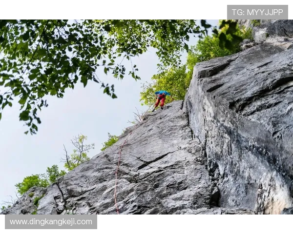 重庆攀岩队如何通过控制革新提升竞技水平与训练效果的深度探讨