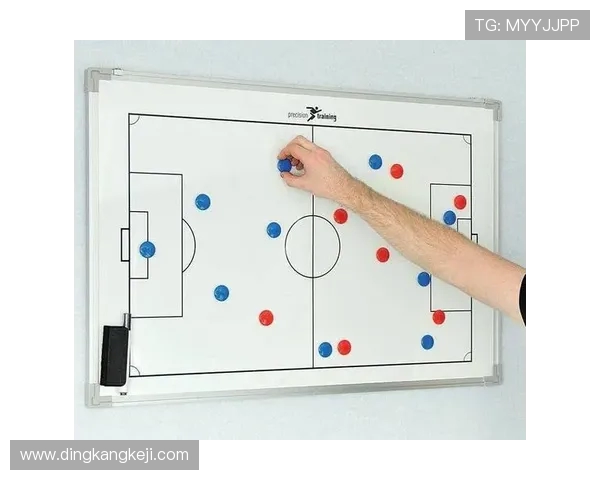 南京排球队的独特节奏与技战术深度解析