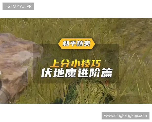 和平精英战术解析V5反击体系的全面战略与实战应用探讨